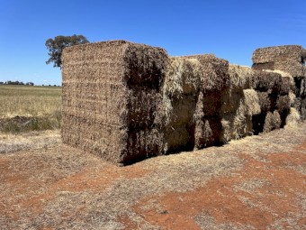 38mt Oaten and Vetch Hay 8x4x3