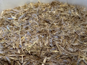 Oaten Hay -2022 Season