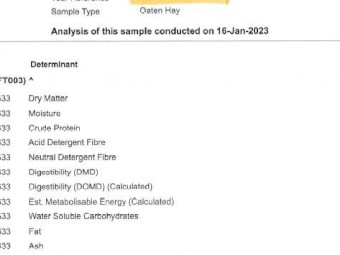 Oaten Hay -2022 Season