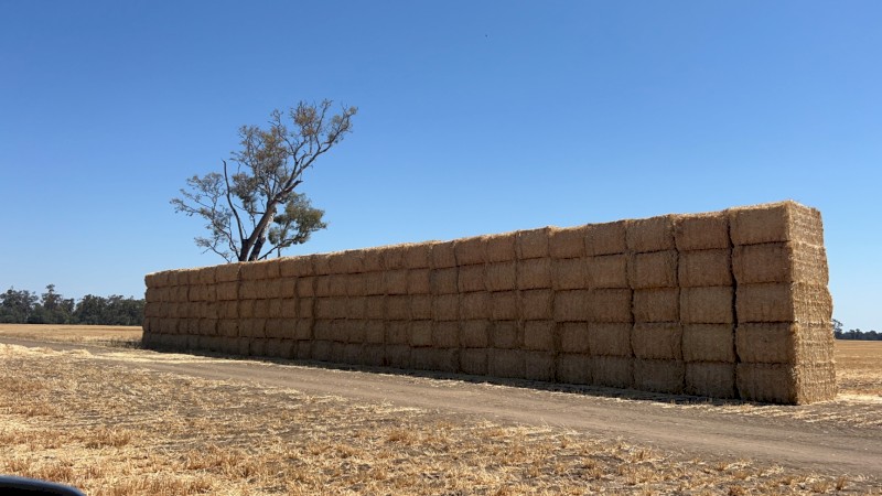 Wheat Straw 2023 season
