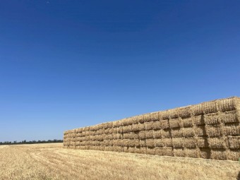 Wheat Straw 2023 season