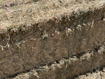 WANTED 730mt Vetch Hay 650kg 8x4x3 Bales