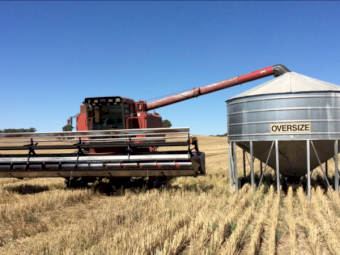 Case IH 1660 Header with 25ft 1010 Front