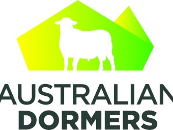 2022 Spring Drop Australian Dormer Flock Rams