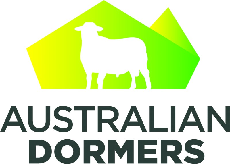 2022 Spring Drop Australian Dormer Flock Rams