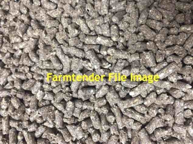 Grain Feed for Cattle