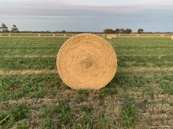 400 x Lucerne/Barley/Ryegrass Round Bales