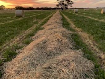 400 x Lucerne/Barley/Ryegrass Round Bales