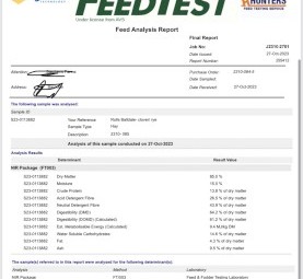 Clover - clover rye grass hay