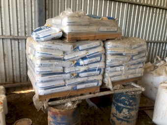 PAC 440 Elite Treated Corn Seed