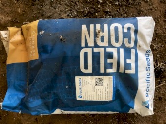 PAC 440 Elite Treated Corn Seed