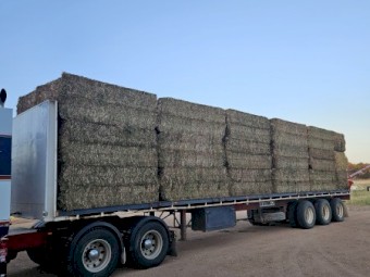 700mt Vetch Hay 690kg 8x4x3 Bales