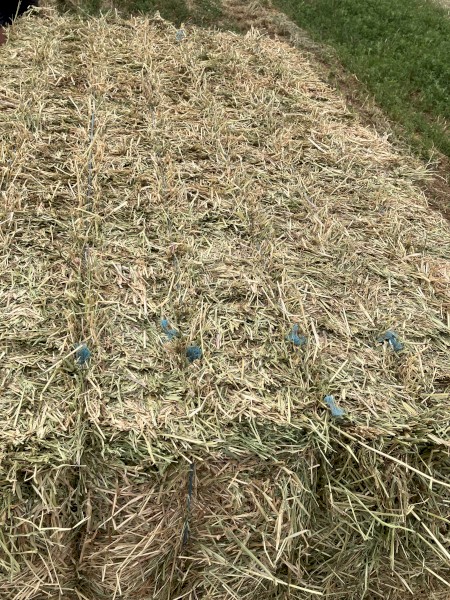 Rye Oaten Rye Canola Mixed Hay 5x4 and 8x4x3 Bales | Farm Tender