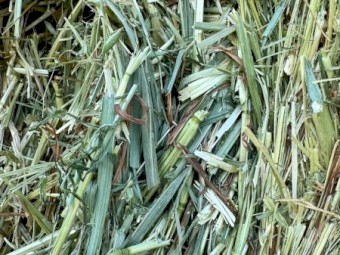 350mt Oaten Hay 8x4x3 Bales