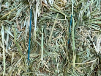 350mt Oaten Hay 8x4x3 Bales