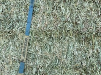 350mt Oaten Hay 8x4x3 Bales