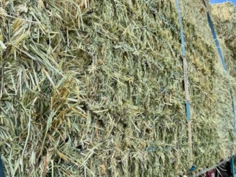 350mt Oaten Hay 8x4x3 Bales