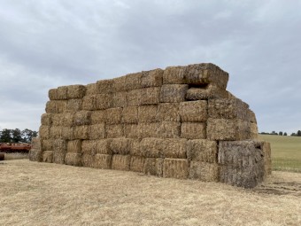 Barley Old Season Hay 