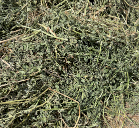 80 mt  Vetch Hay 8x4x3 Bales