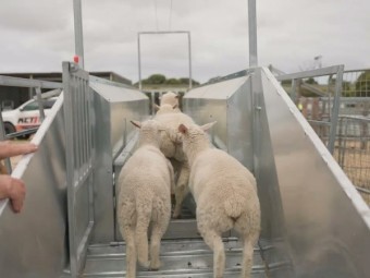 Rivercity Portable Bulk Handler