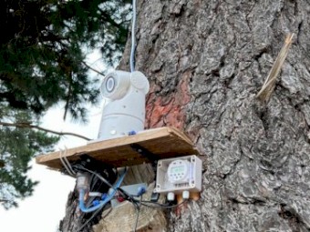 Hawk Laser Mk2 500MW Bird Repellent for farms and vineyards