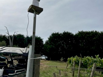 Hawk Laser Mk2 500MW Bird Repellent for farms and vineyards