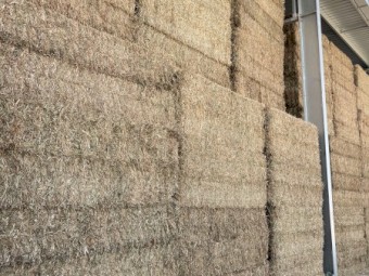 100mt Vetch Hay 8x4x3 Bales