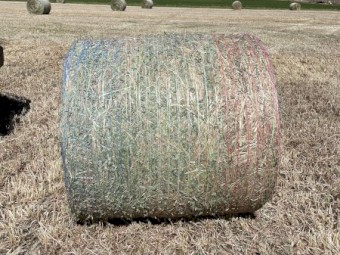 Oaten Silage 