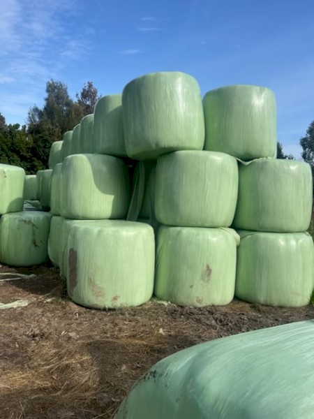 Bulk Pasture Silage Bales Pakenham, Drouin and Longwarry