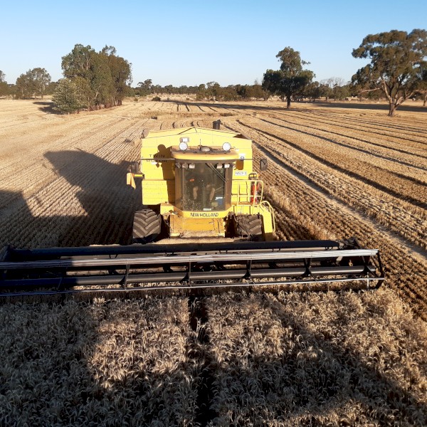 New Holland TR89 Header and MacDon 960 Draper Front | Farm Tender