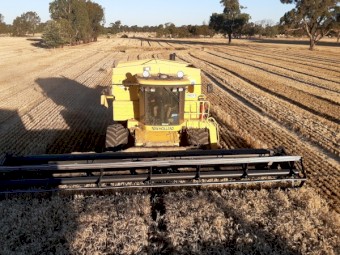 New Holland TR89 Header and MacDon 960 Draper Front
