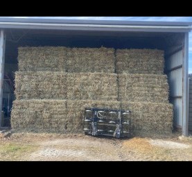 Oaten small square bales