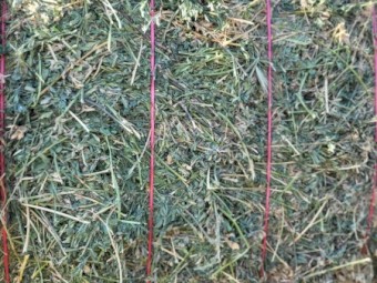 10mt Lucerne Hay 600kg 8x4x3 Bales