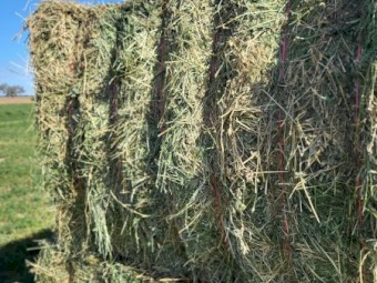 10mt Lucerne Hay 600kg 8x4x3 Bales