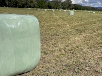 Irrigated Lucerne Silage 4ft Rounds