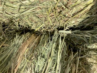 Oaten Hay 8x4x3 Bales