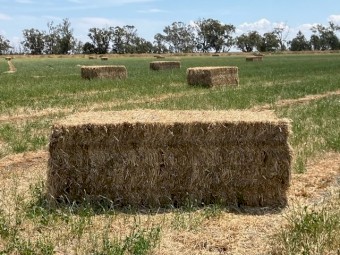 160mt Irrigated Balansa Clover and Rye Hay