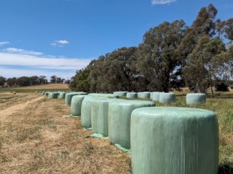 Oat/Clover/Vetch Silage Rounds