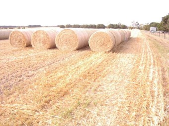 Oaten Hay 2023 