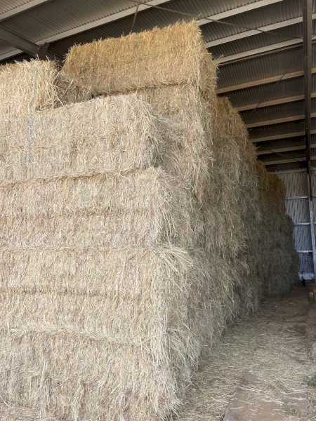 Oaten Hay 8x3x3 Bales | Farm Tender