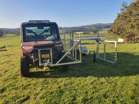 2023 Tassie Calf Catcher