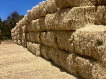 100mt Wheaten Hay 8x4x3 Bales