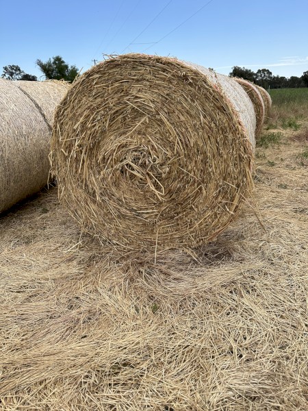 100 x Oaten Hay 4x4 Round Bales