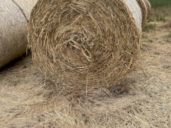 100 x Oaten Hay 4x4 Round Bales