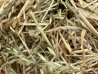 100 x Oaten Hay 4x4 Round Bales
