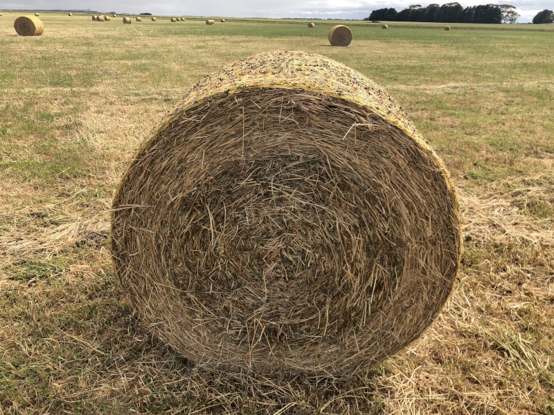 100 x Balansa Hay 5x4 Rolls