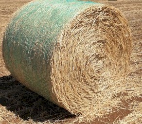 300 x Wheaten Hay 5x4 Rolls