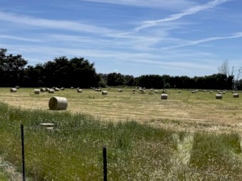 Improved pasture round bales