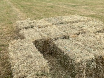 Small Square Pasture Hay Bales