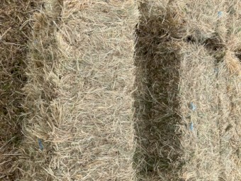 Small Square Pasture Hay Bales